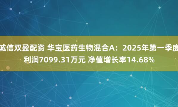 诚信双盈配资 华宝医药生物混合A：2025年第一季度利润7099.31万元 净值增长率14.68%