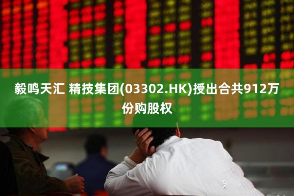毅鸣天汇 精技集团(03302.HK)授出合共912万份购股权