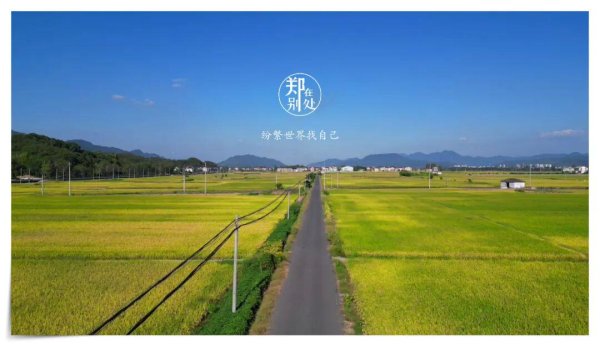 凡资配 两天一夜，田园与古镇，富春山居，小众清新